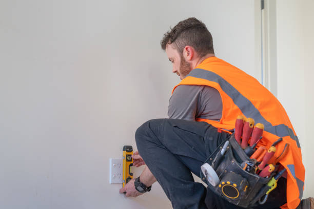 Best Electric Panel Repair  in Topton, PA